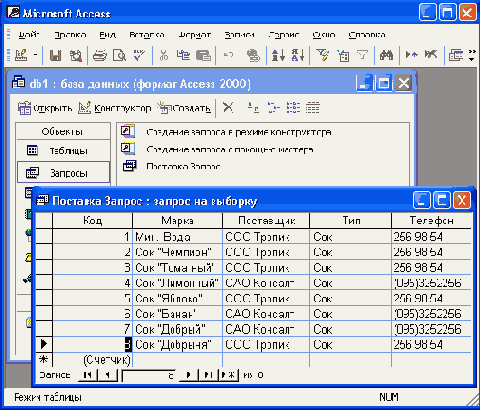 Окно базы данных Access 2002