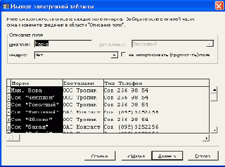 Пятое диалоговое окно Мастера импорта электронной таблицы