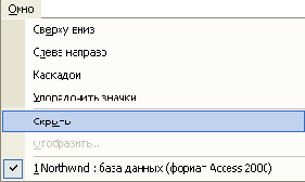 Внешний вид приложения Access 2002 